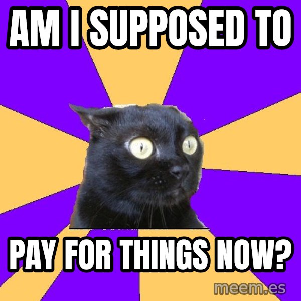 Anxiety Cat meme: Am I supposed to / pay for things now?