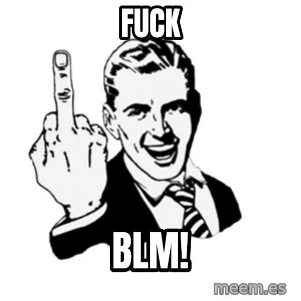 middle finger meme: Fuck / Blm!