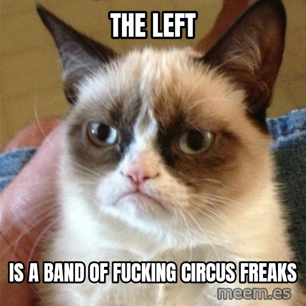Grumpy Cat  meme: The left / Is a band of fucking circus freaks