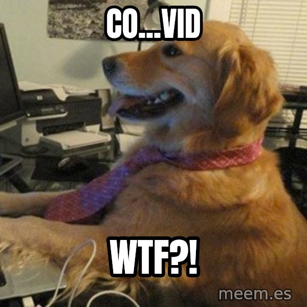 I have no idea what I'm doing - Dog with Tie meme: co...vid / WTF?!
