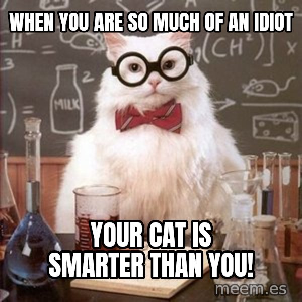Chemistry Cat meme: When you are so much of an idiot / your cat is smarter than you!