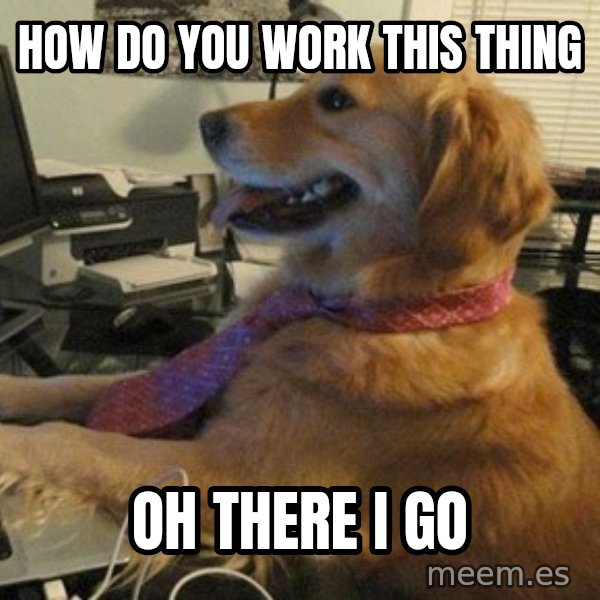 I have no idea what I'm doing - Dog with Tie meme: How do you work this thing / Oh there I go