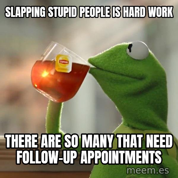 Kermit The Frog Drinking Tea meme: Slapping stupid people is hard work / there are so many that need follow-up appointments