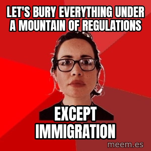 Liberal Douche Garofalo meme: Let's bury everything under a mountain of regulations / Except immigration
