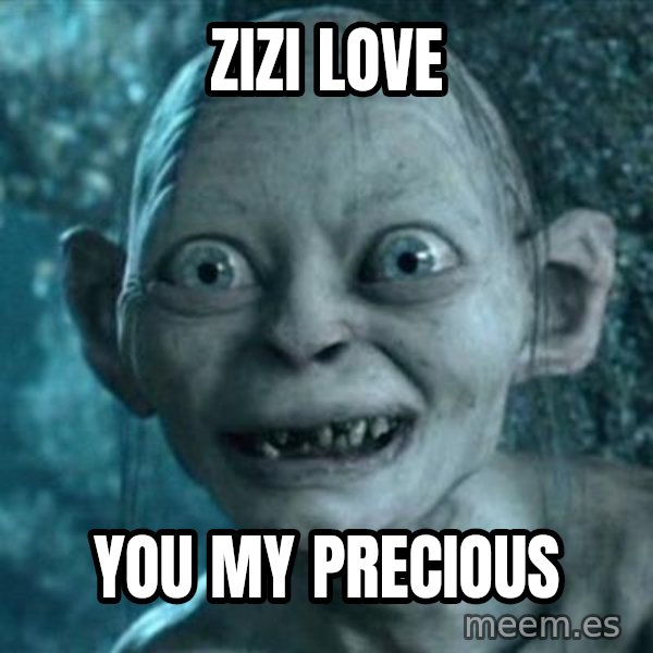 My Precious Gollum meme: Zizi Love / You my precious