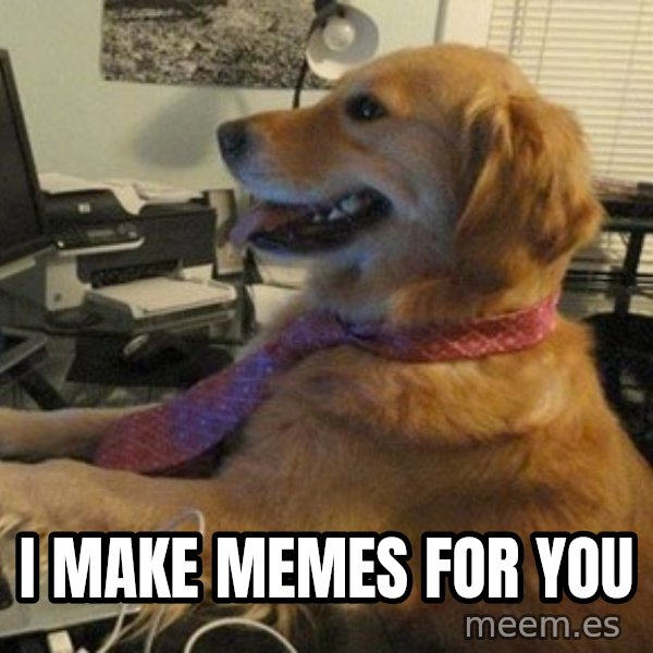I have no idea what I'm doing - Dog with Tie meme: i make memes for you