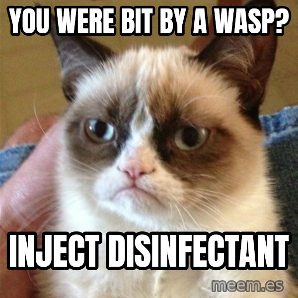 Grumpy Cat  meme: You were bit by a wasp? / inject disinfectant