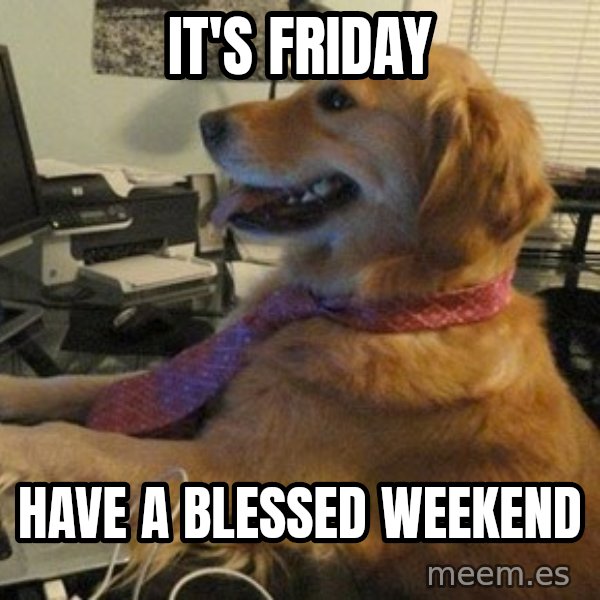 I have no idea what I'm doing - Dog with Tie meme: It's Friday / Have a Blessed Weekend