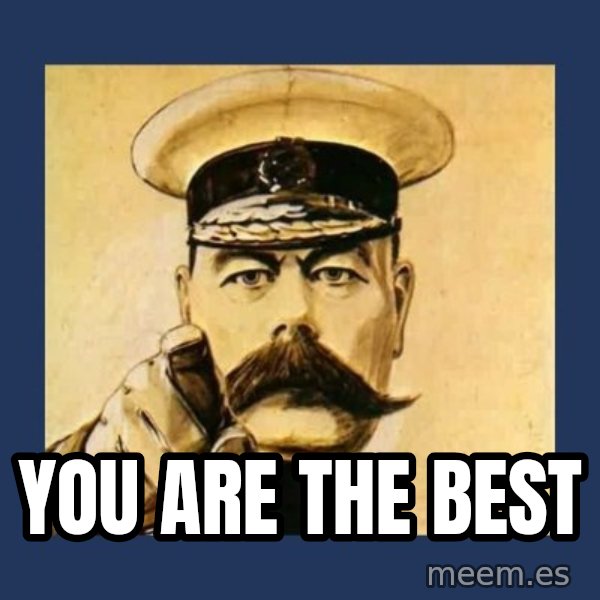 your country needs you meme: YOU ARE THE BEST