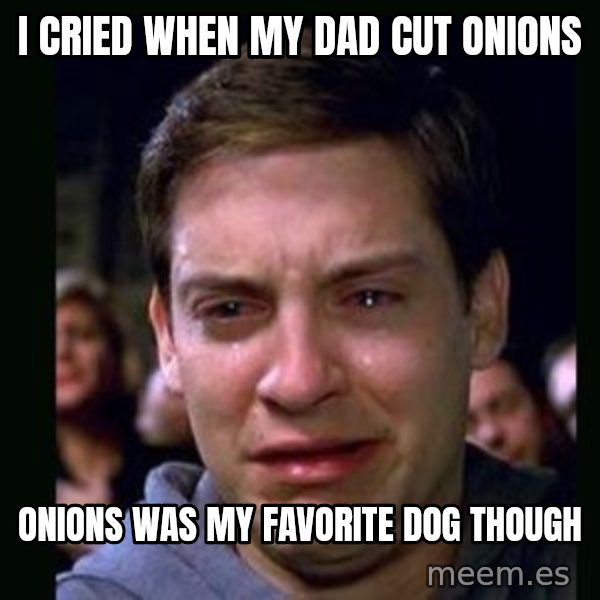 crying peter parker meme: i cried when my dad cut onions / onions was my favorite dog though
