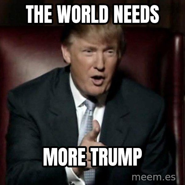 Donald Trump meme: the world needs / more trump