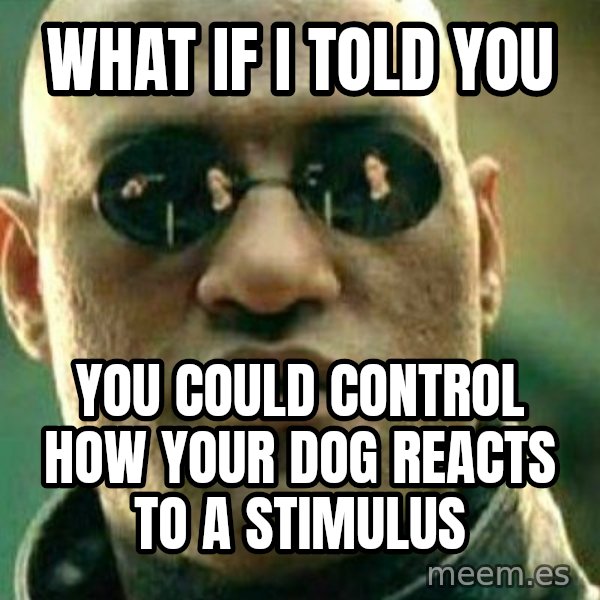 What If I Told You meme: What if i told you / you could control how your dog reacts to a stimulus