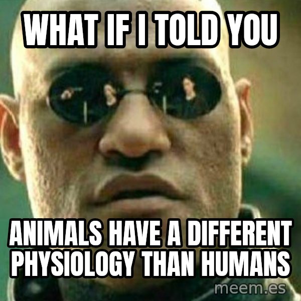 What If I Told You meme: What if i told you / animals have a different physiology than humans