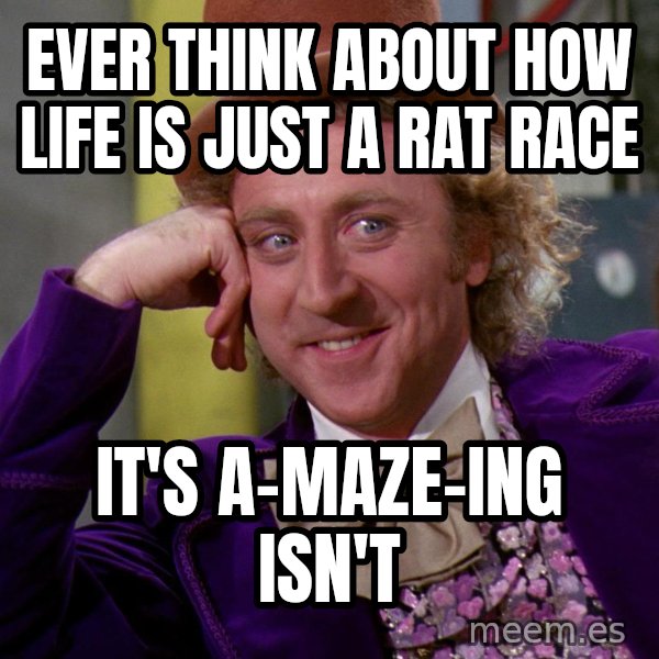 Willy Wonka meme: Ever think about how life is just a rat race / It's a-maze-ing isn't