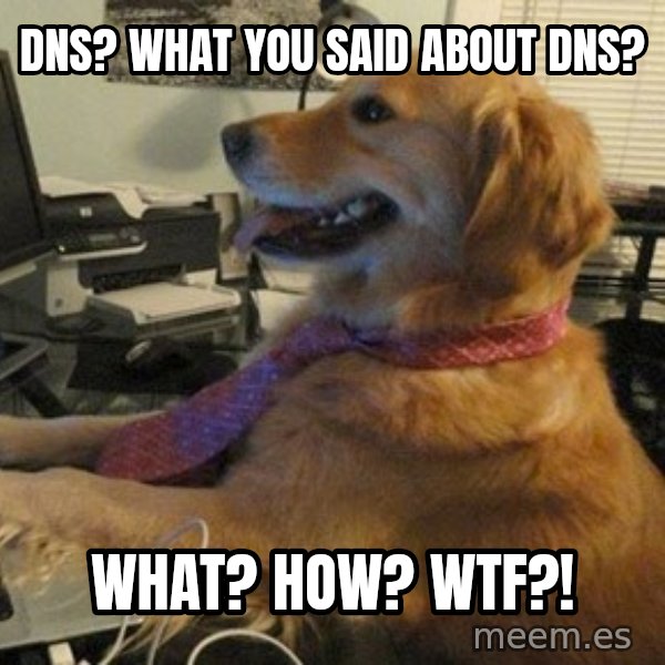 I have no idea what I'm doing - Dog with Tie meme: DNS? What you said about DNS? / What? How? WTF?!