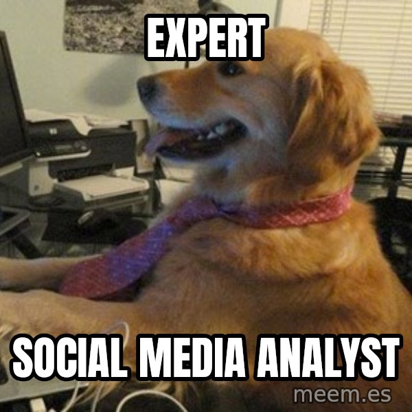 I have no idea what I'm doing - Dog with Tie meme: expert / Social Media Analyst