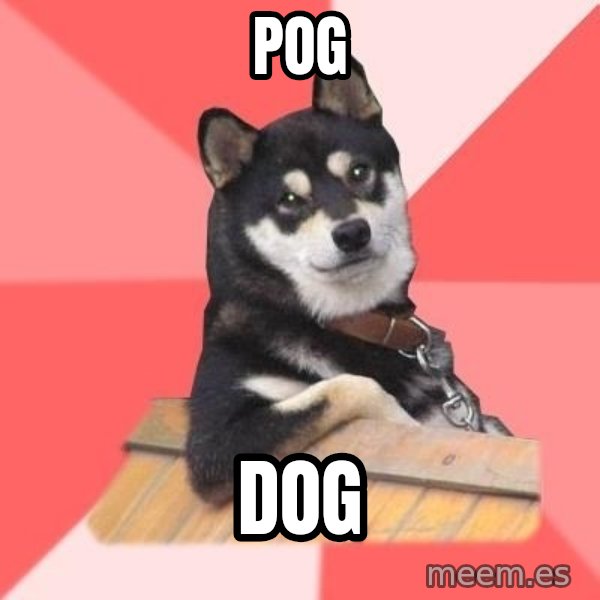 Cool Dog meme: POG / DOG