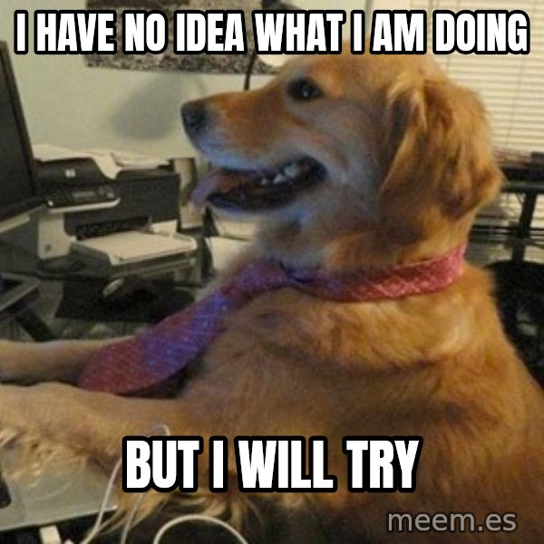 I have no idea what I'm doing - Dog with Tie meme: I have no idea what I am doing / But I will try