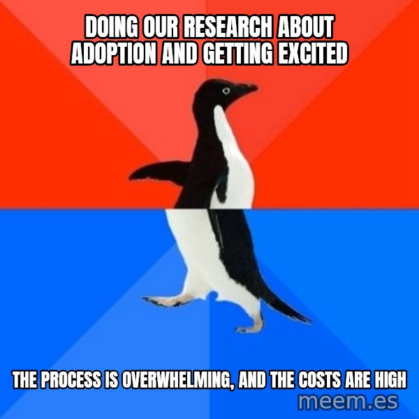 Socially Awesome Awkward Penguin meme: doing our research about adoption and getting excited / the process is overwhelming, and the costs are high