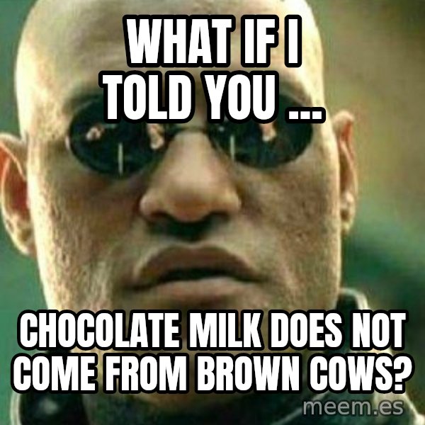 What If I Told You meme: What if I told you ... / Chocolate milk does not come from brown cows?
