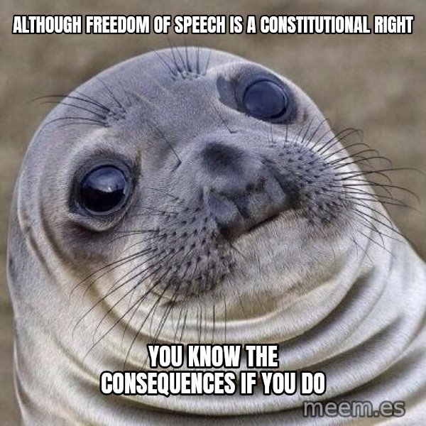 Awkward Seal meme: Although freedom of speech is a constitutional right / You know the consequences if you do