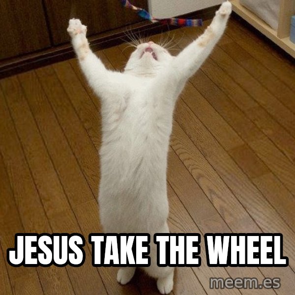 praise the lord cat meme: Jesus take the wheel