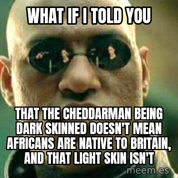 What If I Told You meme: What if I told you / that the cheddarman being dark skinned doesn't mean africans are native to britain, and that light skin isn't