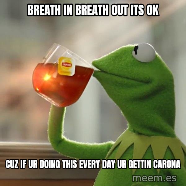 Kermit The Frog Drinking Tea meme: breath in breath out its ok / CUZ IF UR DOING THIS EVERY DAY UR GETTIN CARONA