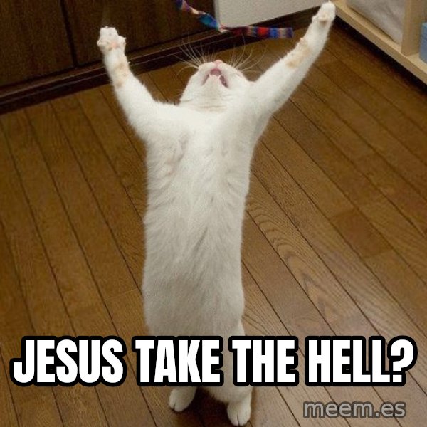 praise the lord cat meme: Jesus take the hell?