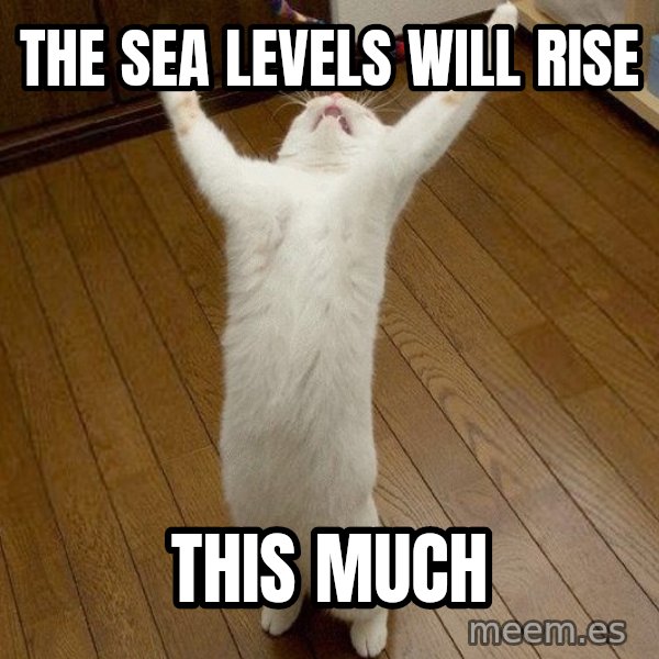 praise the lord cat meme: The sea levels will rise / This much