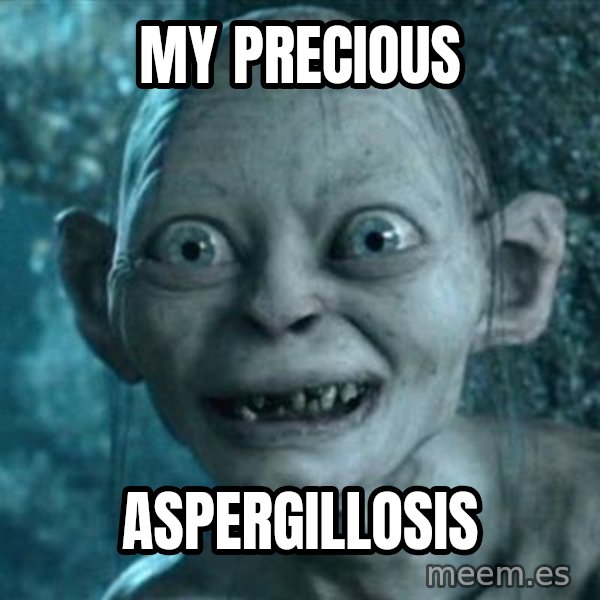 My Precious Gollum meme: My Precious / Aspergillosis