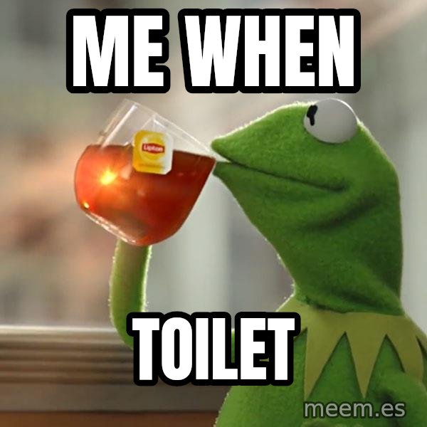 Kermit The Frog Drinking Tea meme: me when / toilet