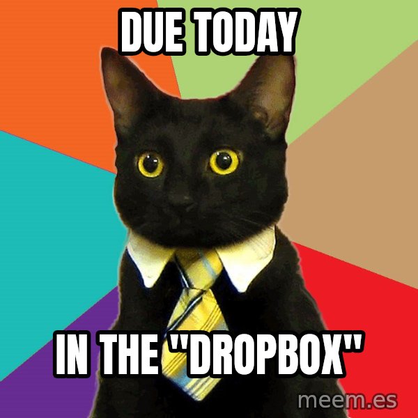 Business Cat meme: DUE TODAY / IN THE "DROPBOX"