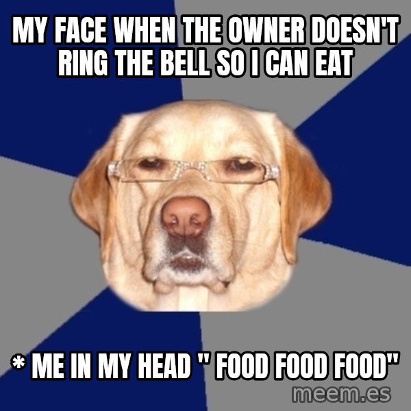 Racist Dog meme: My face when the owner doesn't ring the bell so i can eat / * Me in my head " FOOD FOOD FOOD"