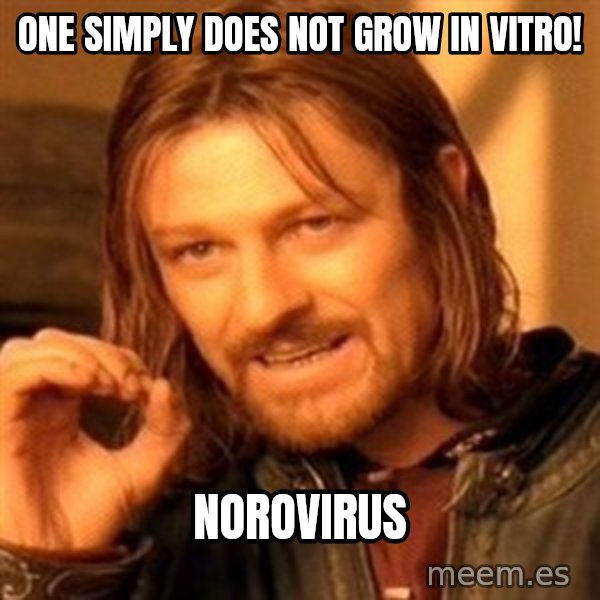 One Does Not Simply meme: One simply does not grow in vitro! / Norovirus