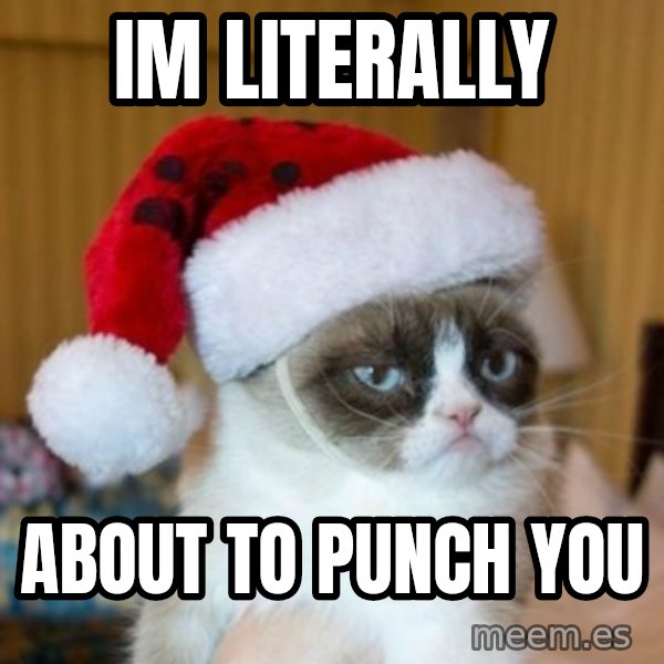 Grumpy Cat Santa Hat meme: im literally / about to punch you