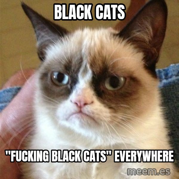 Grumpy Cat  meme: black cats / "fucking black cats" everywhere