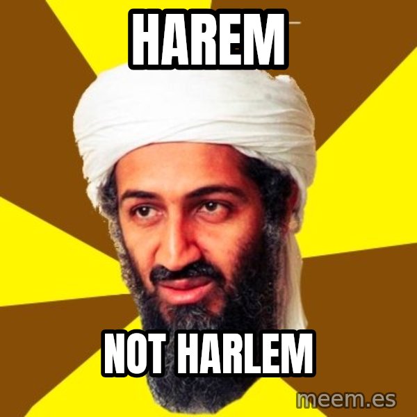 Osama meme: harem / not Harlem