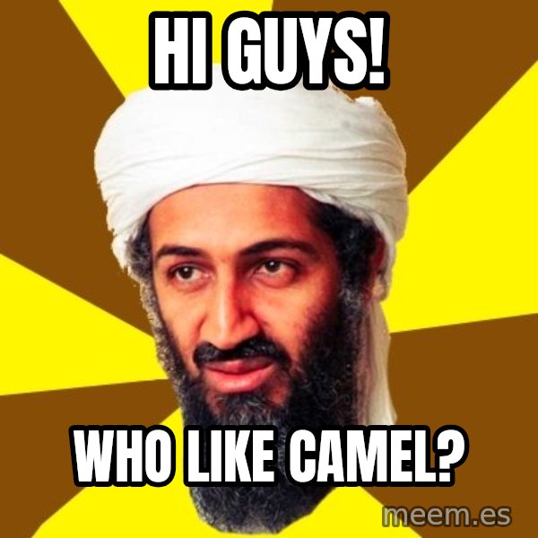 Osama meme: Hi guys! / Who like camel?