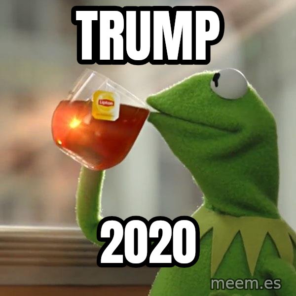 Kermit The Frog Drinking Tea meme: TRUMP / 2020
