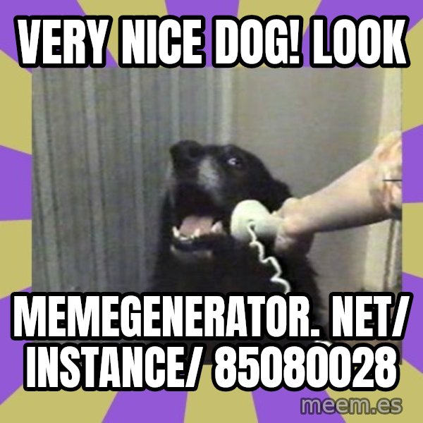 Yes, this is dog! meme: Very nice dog! Look / memegenerator. net/ instance/ 85080028