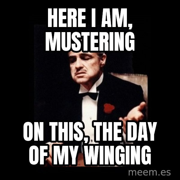 The Godfather meme: Here I am, Mustering / On this, the day of my Winging
