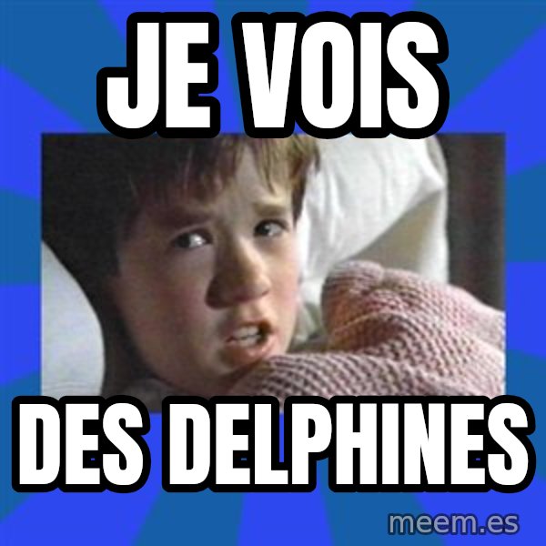 i see dead people meme: Je vois / des Delphines