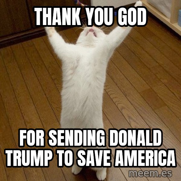 praise the lord cat meme: Thank you God / For Sending Donald Trump to Save America