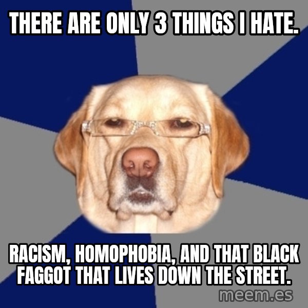 Racist Dawg meme: There are only 3 things I hate. / Racism, Homophobia, and that black faggot that lives down the street.