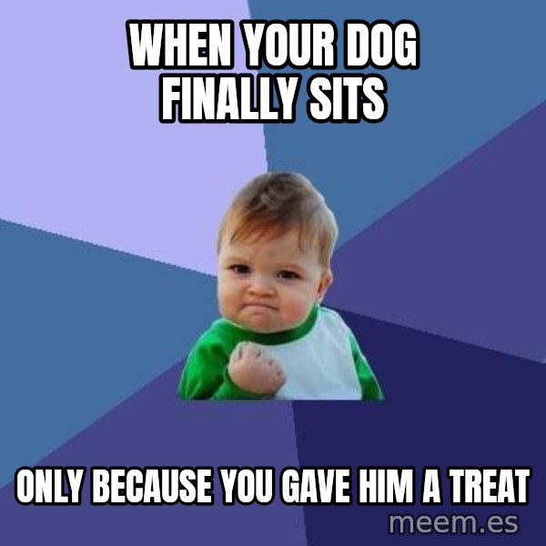 Success Kid meme: When your dog finally sits / Only because you gave him a treat