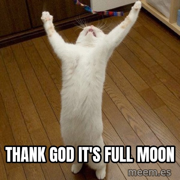praise the lord cat meme: Thank god it's full moon