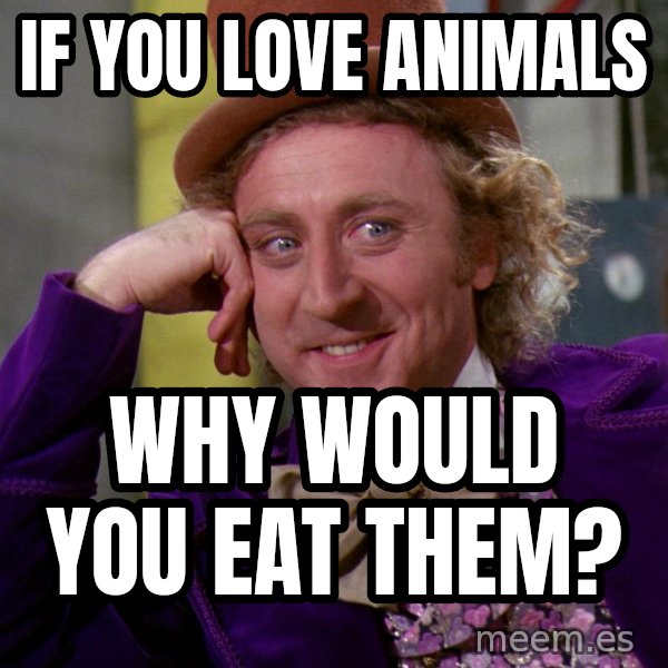 Willy Wonka meme: If you love animals / why would you eat them?