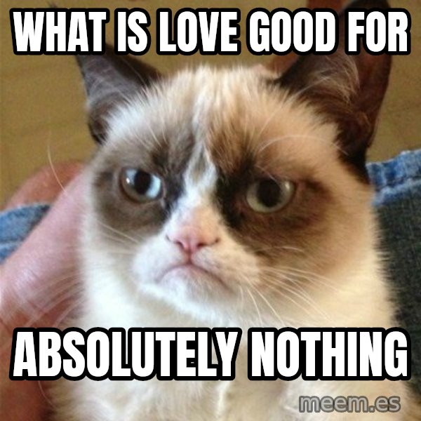 Grumpy Cat  meme: what is love good for / absolutely nothing