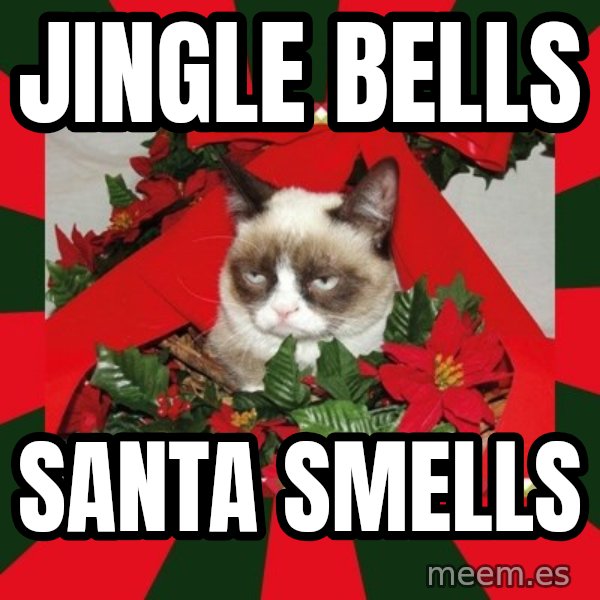 GRUMPY CAT ON CHRISTMAS meme: JINGLE  BELLS / SANTA  SMELLS